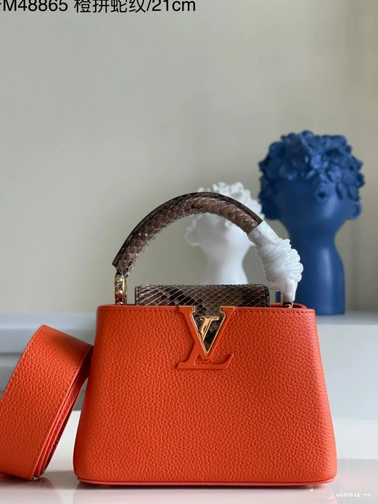 WIS VUITTON CAPUCINES MINI LOUIS 0111